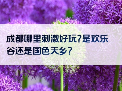 成都哪里刺激好玩？是欢乐谷还是国色天乡？