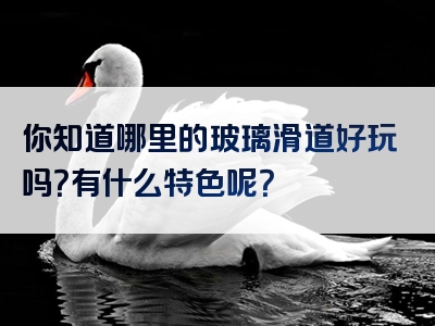你知道哪里的玻璃滑道好玩吗？有什么特色呢？