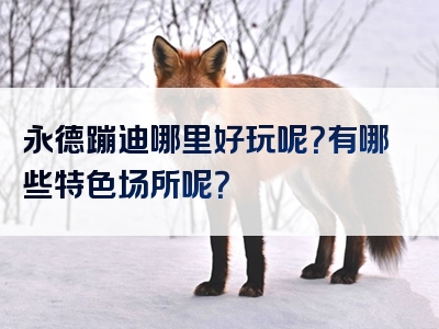 永德蹦迪哪里好玩呢？有哪些特色场所呢？