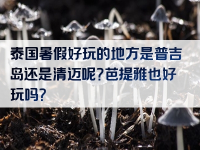 泰国暑假好玩的地方是普吉岛还是清迈呢？芭提雅也好玩吗？