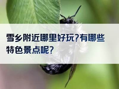 雪乡附近哪里好玩？有哪些特色景点呢？