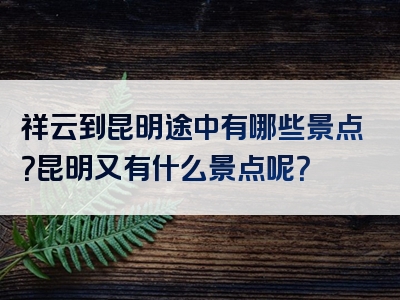 祥云到昆明途中有哪些景点？昆明又有什么景点呢？