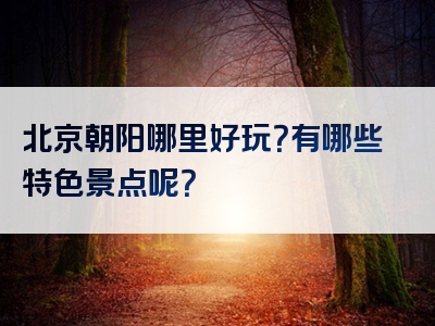 北京朝阳哪里好玩？有哪些特色景点呢？