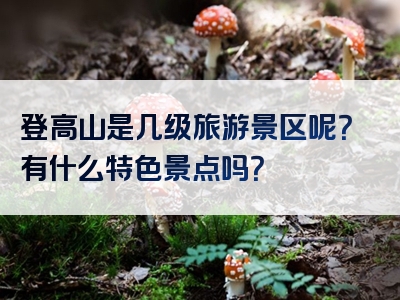 登高山是几级旅游景区呢？有什么特色景点吗？
