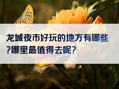 龙城夜市好玩的地方有哪些？哪里最值得去呢？