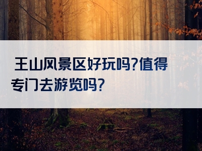 僰王山风景区好玩吗？值得专门去游览吗？