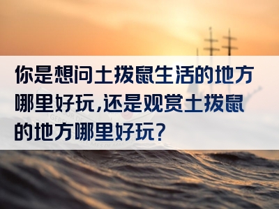 你是想问土拨鼠生活的地方哪里好玩，还是观赏土拨鼠的地方哪里好玩？