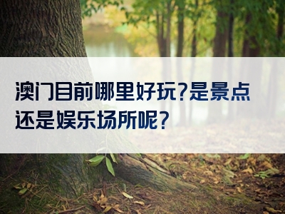 澳门目前哪里好玩？是景点还是娱乐场所呢？