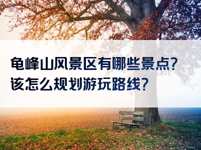 龟峰山风景区有哪些景点？该怎么规划游玩路线？