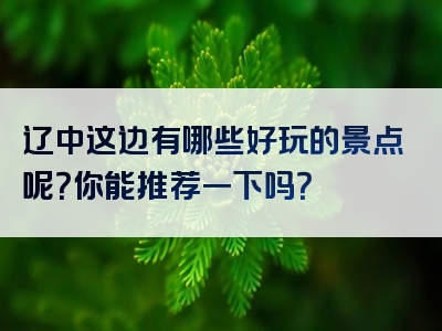 辽中这边有哪些好玩的景点呢？你能推荐一下吗？