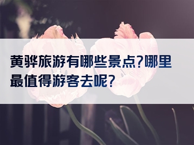 黄骅旅游有哪些景点？哪里最值得游客去呢？