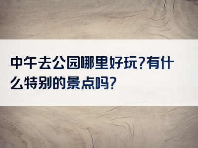 中午去公园哪里好玩？有什么特别的景点吗？