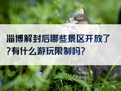 淄博解封后哪些景区开放了？有什么游玩限制吗？