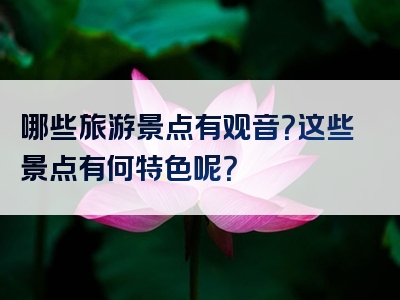 哪些旅游景点有观音？这些景点有何特色呢？