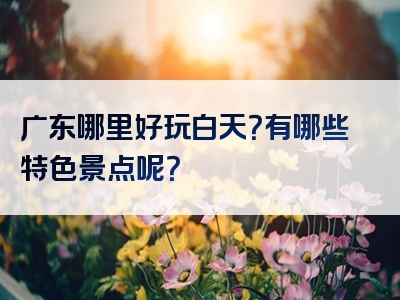 广东哪里好玩白天？有哪些特色景点呢？
