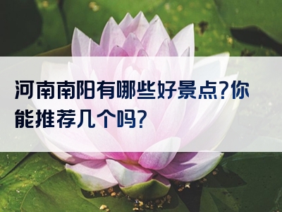河南南阳有哪些好景点？你能推荐几个吗？