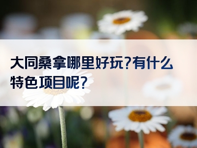 大同桑拿哪里好玩？有什么特色项目呢？