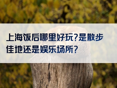 上海饭后哪里好玩？是散步佳地还是娱乐场所？