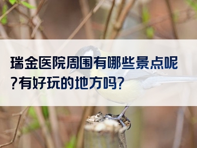瑞金医院周围有哪些景点呢？有好玩的地方吗？