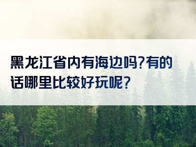黑龙江省内有海边吗？有的话哪里比较好玩呢？