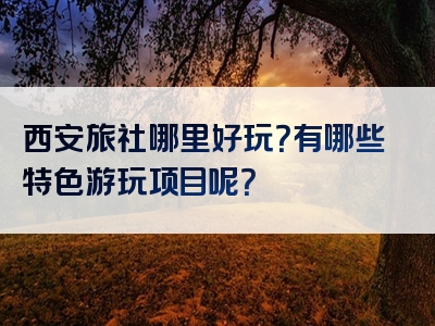西安旅社哪里好玩？有哪些特色游玩项目呢？