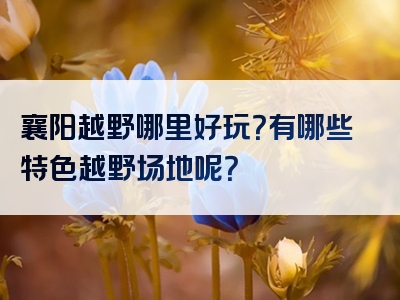 襄阳越野哪里好玩？有哪些特色越野场地呢？