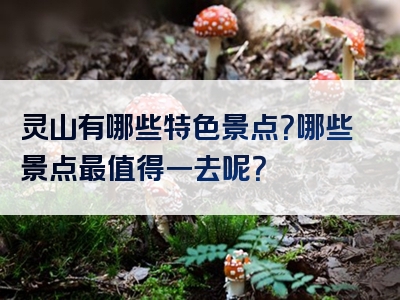 灵山有哪些特色景点？哪些景点最值得一去呢？