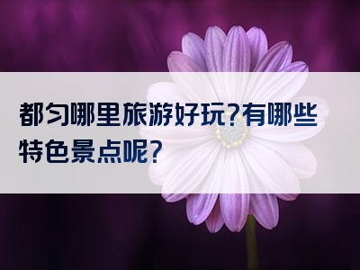 都匀哪里旅游好玩？有哪些特色景点呢？