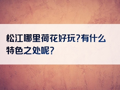 松江哪里荷花好玩？有什么特色之处呢？