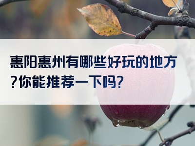 惠阳惠州有哪些好玩的地方？你能推荐一下吗？