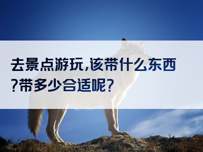去景点游玩，该带什么东西？带多少合适呢？
