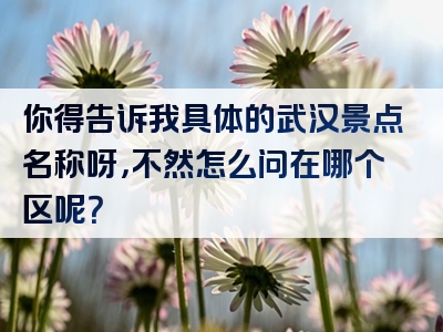 你得告诉我具体的武汉景点名称呀，不然怎么问在哪个区呢？