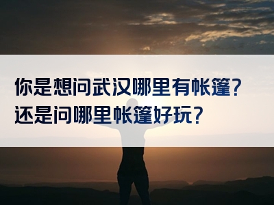 你是想问武汉哪里有帐篷？还是问哪里帐篷好玩？