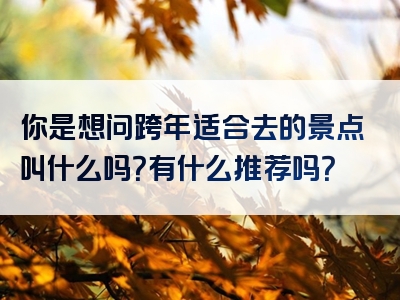 你是想问跨年适合去的景点叫什么吗？有什么推荐吗？