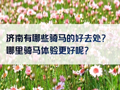 济南有哪些骑马的好去处？哪里骑马体验更好呢？