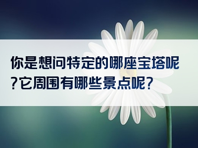 你是想问特定的哪座宝塔呢？它周围有哪些景点呢？