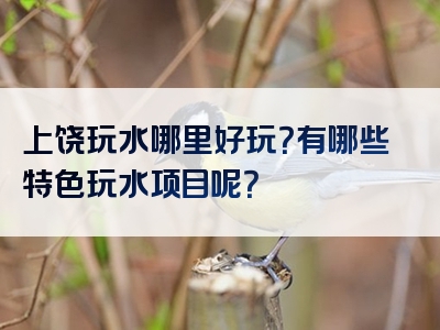 上饶玩水哪里好玩？有哪些特色玩水项目呢？