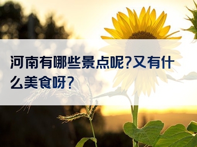 河南有哪些景点呢？又有什么美食呀？