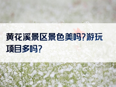 黄花溪景区景色美吗？游玩项目多吗？