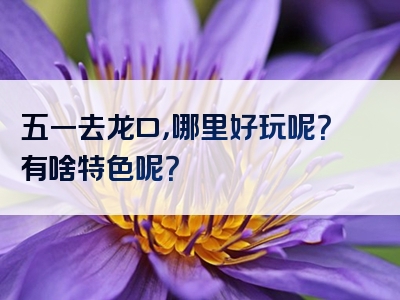 五一去龙口，哪里好玩呢？有啥特色呢？
