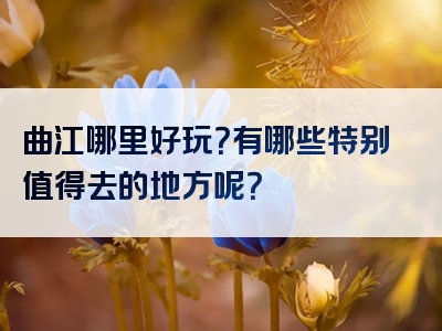 曲江哪里好玩？有哪些特别值得去的地方呢？