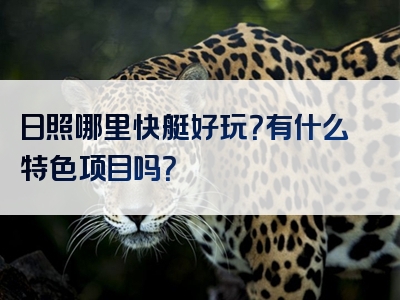 日照哪里快艇好玩？有什么特色项目吗？