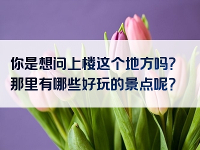 你是想问上楼这个地方吗？那里有哪些好玩的景点呢？