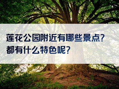 莲花公园附近有哪些景点？都有什么特色呢？