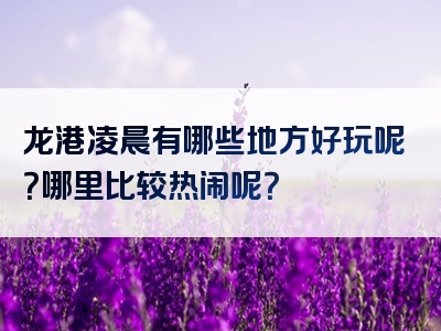 龙港凌晨有哪些地方好玩呢？哪里比较热闹呢？