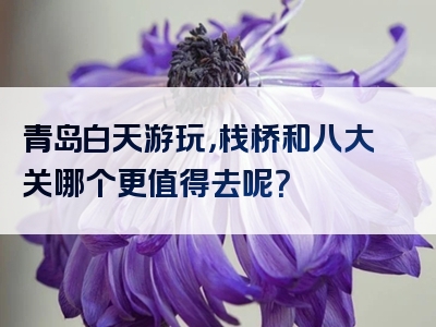 青岛白天游玩，栈桥和八大关哪个更值得去呢？