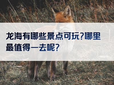 龙海有哪些景点可玩？哪里最值得一去呢？