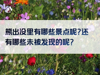 熊出没里有哪些景点呢？还有哪些未被发现的呢？