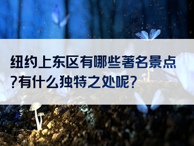 纽约上东区有哪些著名景点？有什么独特之处呢？