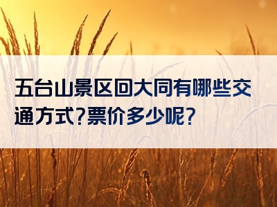 五台山景区回大同有哪些交通方式？票价多少呢？